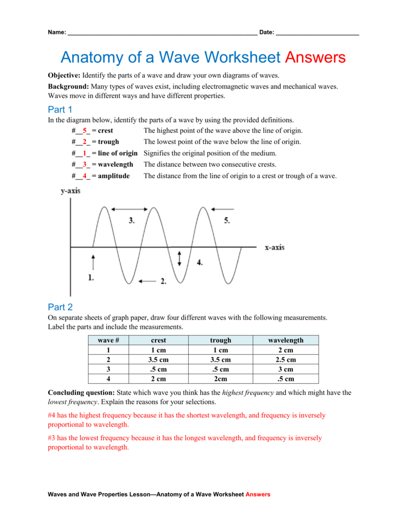 Anatomy Of A Wave Worksheet Answers Math Worksheet Answers