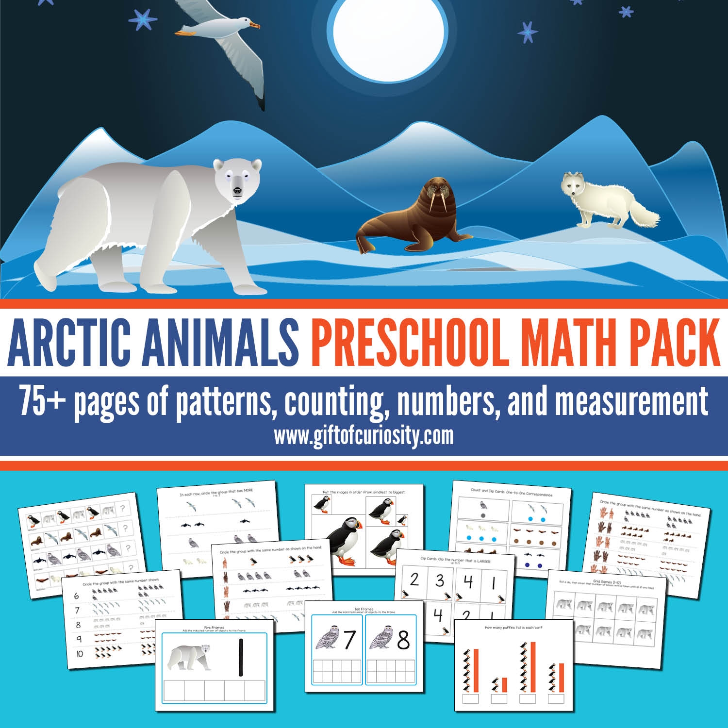 which-arctic-animals-love-math-worksheet-maths-worksheets-for-7-year-olds